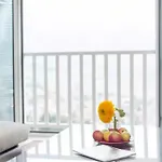 With The View Horizon